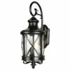 Trans Globe Lighting Chandler 19.5" Wall Lantern