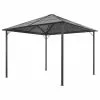 Vida XL International B.V. VidaXL Gazebo With Roof Aluminum Black Outdoor Patio Canopy Shelter Party Tent