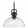 Destination Lighting Industrial Black Pendant Light With Clear Glass 13-Inch Wide
