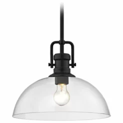 Destination Lighting Industrial Black Pendant Light With Clear Glass 13-Inch Wide