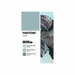 WallyGrow Wally Eco Spa Wall Planter, Set Of 4 8 WallyGrow Wally Eco Spa Wall Planter, Set Of 4 -Ceiling Lighting Shop 125124ea0e3c79d5 3251 w800 h800 b1 p0