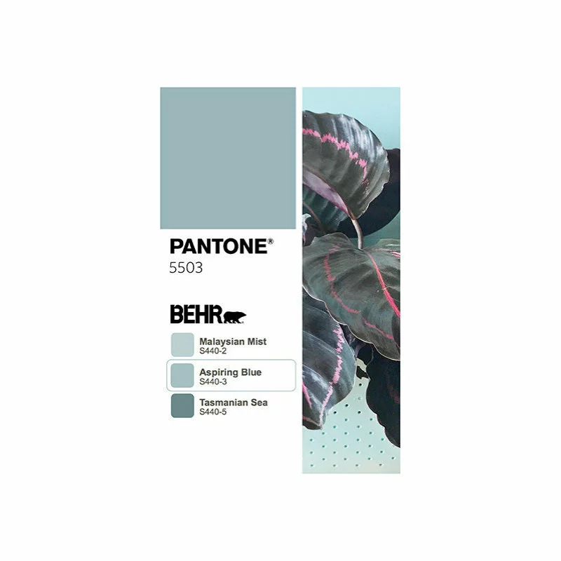 WallyGrow Wally Eco Spa Wall Planter, Set Of 4 4 WallyGrow Wally Eco Spa Wall Planter, Set Of 4 - Image 4