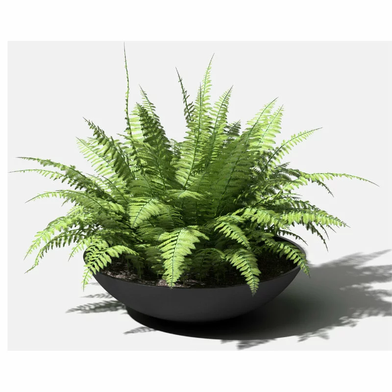 Veradek Lane Round Planter Bowl, Black, 24" 7 Veradek Lane Round Planter Bowl, Black, 24" - Image 7