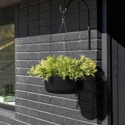 Veradek Pure Series Hanging Kona Bowl 14" Planter, Black -Ceiling Lighting Shop 22d11c37026c3e1f 4283 w800 h800 b0 p0