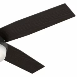 Hunter Fan Company 52" Dempsey Damp Matte Black Ceiling Fan With Light/Remote -Ceiling Lighting Shop 24e1b3280f8fe1f8 6953 w800 h800 b1 p0
