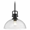 Destination Lighting Seeded Glass Black Pendant Light 13-Inch Wide