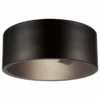 Globe Electric Teagan 1-Light Dark Bronze Outdoor Indoor Flush Mount Ceiling Light