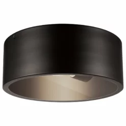 Globe Electric Teagan 1-Light Dark Bronze Outdoor Indoor Flush Mount Ceiling Light