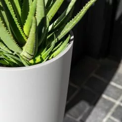 Veradek Pure Series Selena 28" Planter, White, 28 In. - Two Pack -Ceiling Lighting Shop 35b13fc902a39eed 3800 w800 h800 b0 p0