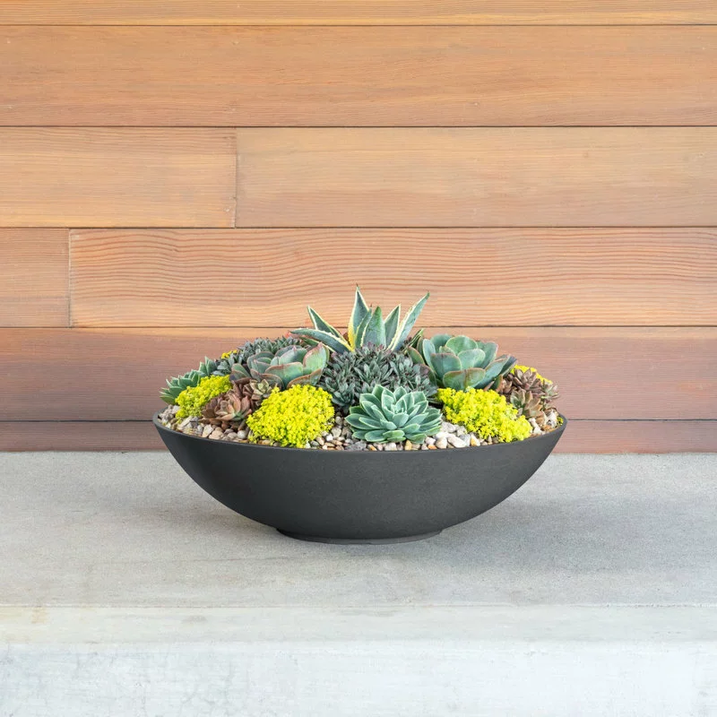 Veradek Lane Round Planter Bowl, Black, 24" 4 Veradek Lane Round Planter Bowl, Black, 24" - Image 4