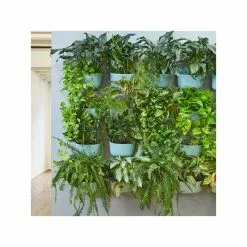 WallyGrow Wally Eco Spa Wall Planter, Set Of 4 7 WallyGrow Wally Eco Spa Wall Planter, Set Of 4 -Ceiling Lighting Shop 36610ad50e3c79d4 3251 w800 h800 b0 p0