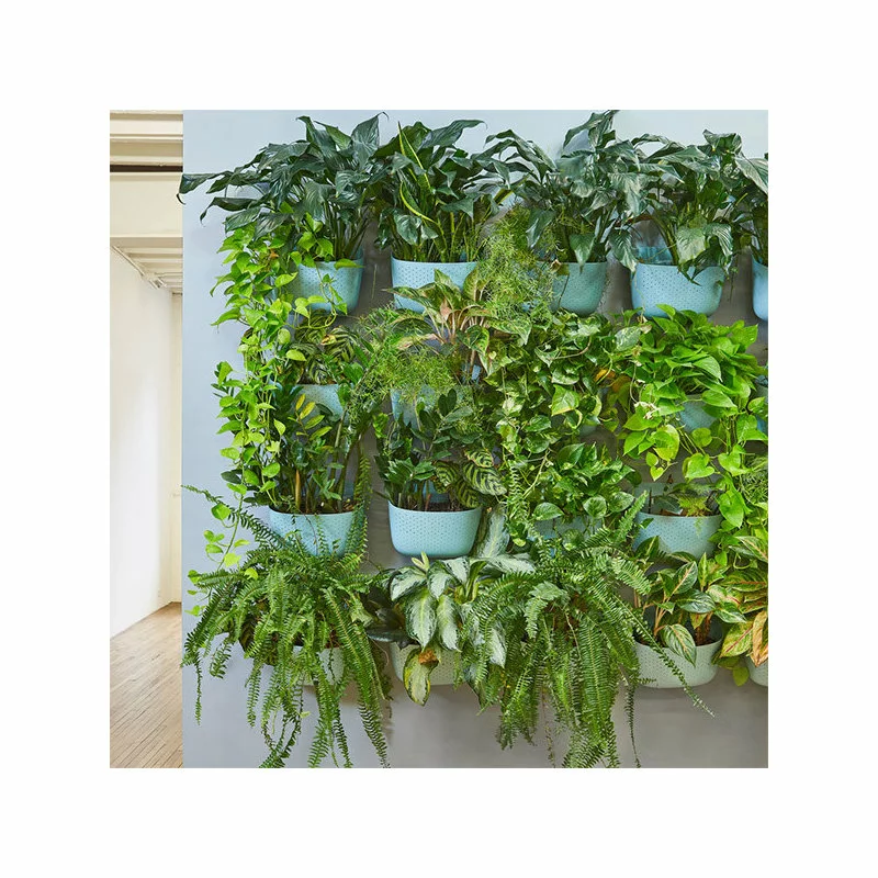 WallyGrow Wally Eco Spa Wall Planter, Set Of 4 3 WallyGrow Wally Eco Spa Wall Planter, Set Of 4 - Image 3