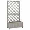 Vida XL International B.V. VidaXL Solid Firwood Garden Trellis Planter Gray Patio Flower Box Raised Bed