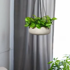 Serene Spaces Living Dark Gray Round Cement Hanging Planter, Large -Ceiling Lighting Shop 41415f9d0e986165 3191 w800 h800 b0 p0