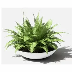 Veradek Lane Round Planter Bowl, White, 32" 12 Veradek Lane Round Planter Bowl, White, 32" -Ceiling Lighting Shop 43d1d1fc02b31d40 2123 w800 h800 b1 p0