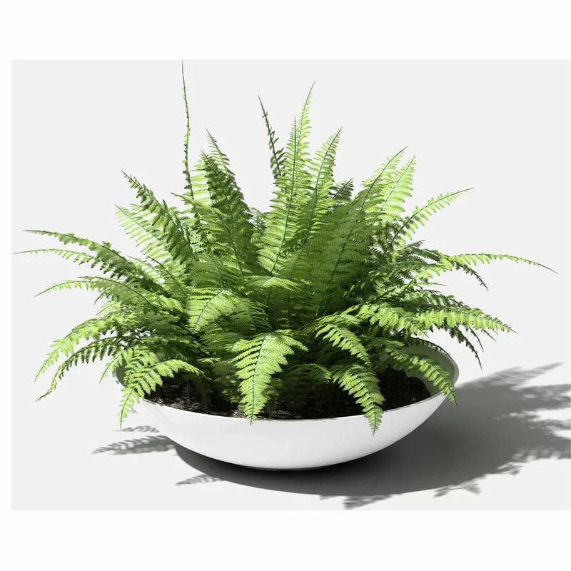 Veradek Lane Round Planter Bowl, White, 32" 6 Veradek Lane Round Planter Bowl, White, 32" - Image 6