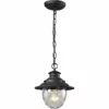 Elk Home Searsport 1-Light Outdoor Pendant, Weathered Charcoal