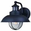 Vaxcel Harwich Dualux 8" Outdoor Wall Light, Textured Black, 10-in. W X 10-in. H X 12-i