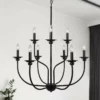LNC Lighting LNC Modern Farmhouse Candle-Style 9-Light Black Chandelier
