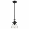 Golden Lighting Hines Mini Pendant, Black, Seeded Glass