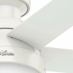 Hunter Fan Company 46" Anslee Low Profile Ceiling Fan With Light, Fresh White 18 Hunter Fan Company 46" Anslee Low Profile Ceiling Fan With Light, Fresh White -Ceiling Lighting Shop 66c16e700f8febc0 7703 w800 h800 b0 p0