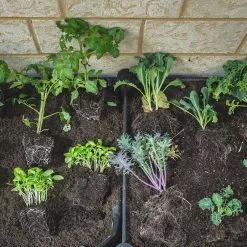 Watex LLC. Watex Modular Garden Bed, 4 Bed -Ceiling Lighting Shop 6df153d7011ad508 8960 w800 h800 b0 p0