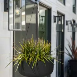 Veradek Pure Series Hanging Kona Bowl 14" Planter, Black -Ceiling Lighting Shop 7e814acf026c3e24 4283 w800 h800 b0 p0