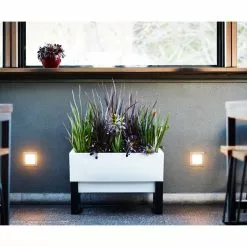 Glowpear Urban Garden -Ceiling Lighting Shop 8151fb96053a9a88 2243 w800 h800 b0 p0