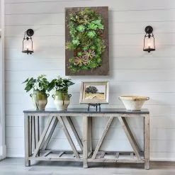 Vandue Corporation Modern Home Living Wall Galvanized Steel/Zinc Succulent Planter, Wall Mounted G -Ceiling Lighting Shop 96116a3800638bb8 0193 w800 h800 b0 p0