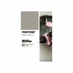 WallyGro Wally Eco Stone Wall Planter, Set Of 4 8 WallyGro Wally Eco Stone Wall Planter, Set Of 4 -Ceiling Lighting Shop 963186d20e3c7a0a 2116 w800 h800 b1 p0