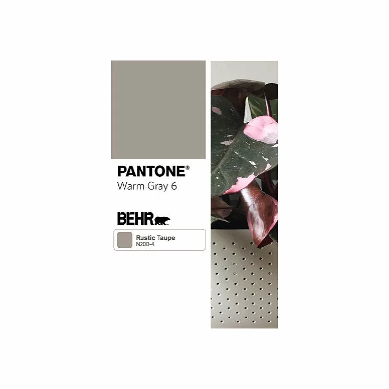 WallyGro Wally Eco Stone Wall Planter, Set Of 4 4 WallyGro Wally Eco Stone Wall Planter, Set Of 4 - Image 4