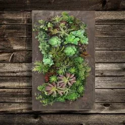 Vandue Corporation Modern Home Living Wall Galvanized Steel/Zinc Succulent Planter, Wall Mounted G -Ceiling Lighting Shop 9b915d5300638bb5 0193 w800 h800 b0 p0