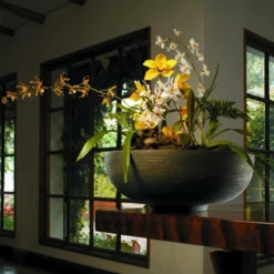 Crescent Garden Orinoco Bowl, Old Bronze 13 Crescent Garden Orinoco Bowl, Old Bronze -Ceiling Lighting Shop 9c6125ac0e7c9eb5 4297 w800 h800 b0 p0