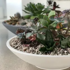 Crescent Garden Montana Bowl, Old Bronze -Ceiling Lighting Shop b061187c0e93d0fb 9974 w800 h800 b0 p0