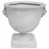 GDFStudio GDF Studio Andrea Concrete Lionhead Accents Chalice Decorative Urn Planter, Ant