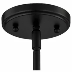 Destination Lighting Seeded Glass Pendant Light Black Finish 14-Inch Wide -Ceiling Lighting Shop c451561a09e51f0e 7620 w800 h800 b1 p0