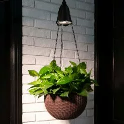 Glitzhome 30" Solar Lighted Hanging Plastic Basket/Planter -Ceiling Lighting Shop d5f16ed20df1ebb2 9993 w800 h800 b0 p0