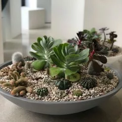 Crescent Garden Montana Bowl, Old Bronze -Ceiling Lighting Shop dbc121920e93d0ff 9974 w800 h800 b0 p0