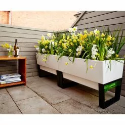 Glowpear Urban Garden -Ceiling Lighting Shop e641551d052c73d5 2243 w800 h800 b0 p0