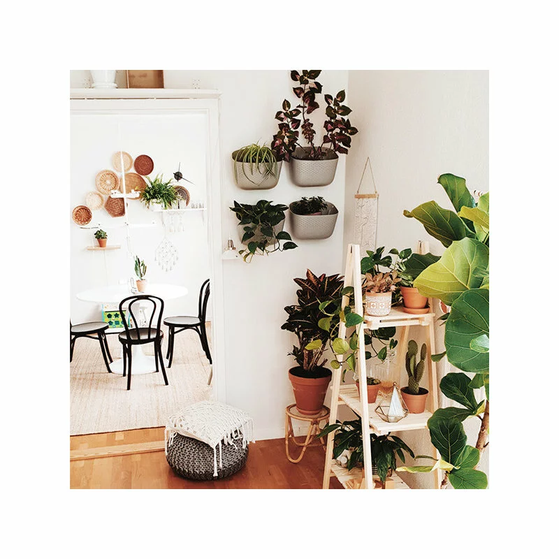 WallyGro Wally Eco Stone Wall Planter, Set Of 4 3 WallyGro Wally Eco Stone Wall Planter, Set Of 4 - Image 3