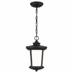 Generation Lighting Eddington 1-Light Outdoor Pendant, Black