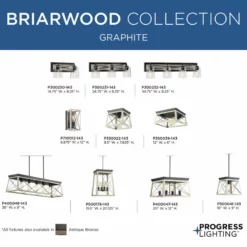 Progress Lighting Briarwood Collection Two-Light Flush Mount -Ceiling Lighting Shop e921db910eea5423 8747 w800 h800 b0 p0