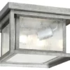 Sea Gull Lighting 2-Light Outdoor Flush Mount, Weathered Pewter