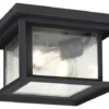 Sea Gull Lighting 2-Light Outdoor Flush Mount, Black