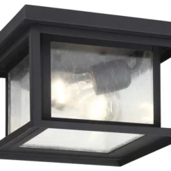 Sea Gull Lighting 2-Light Outdoor Flush Mount, Black