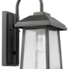 Edvivi Lighting Carina Textured Black Outdoor Wall Sconce Glass Lantern Light