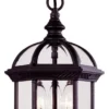 Savoy House Kensington Hanging Lantern, Textured Black, 13.75"
