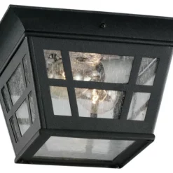 Sea Gull Lighting 2-Light Outdoor Flush Mount